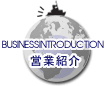 BUSINESS INTRODUCTION